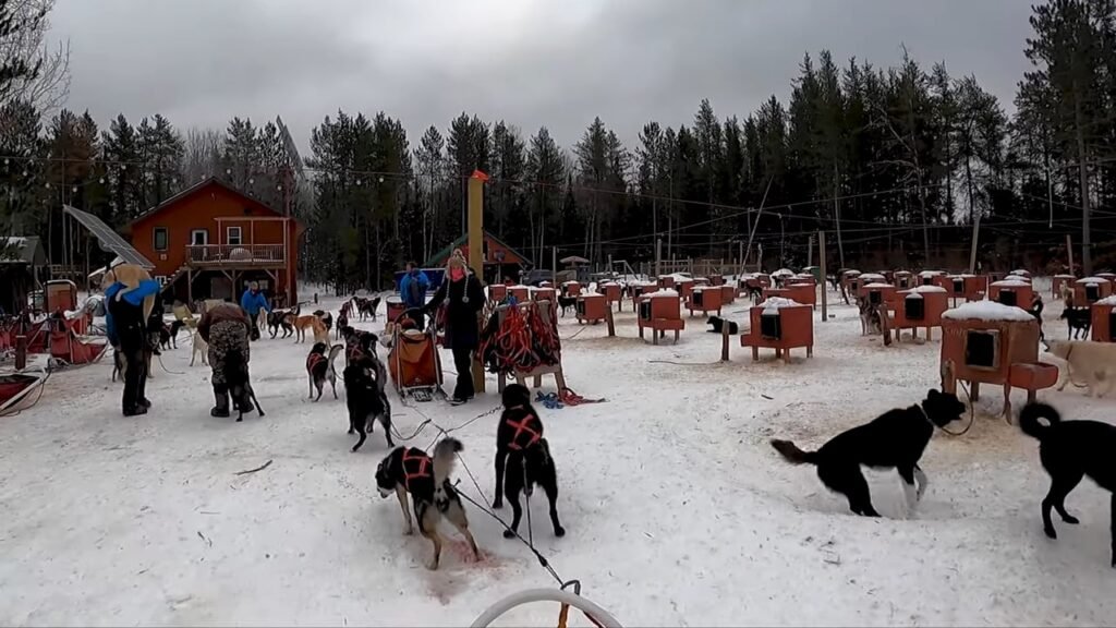 The Dog Sledding School in Minnesota Teaching Kids Skills That Are on the Verge of Being Lost The Dog Sledding School in Minnesota Teaching Kids Skills That Are on the Verge of Being Lost