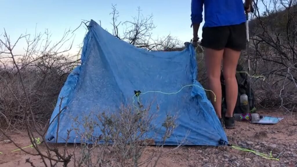 A Rescue Greyhound Nobody Wanted Just Finished Hiking the Continental Divide Trail. Her Story Will Move You. A Rescue Greyhound Nobody Wanted Just Finished Hiking the Continental Divide Trail. Her Story Will Move You.
