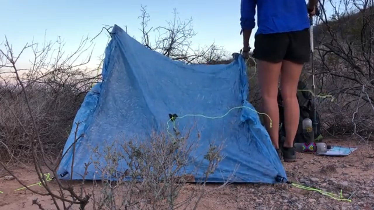 A Rescue Greyhound Nobody Wanted Just Finished Hiking the Continental Divide Trail. Her Story Will Move You.