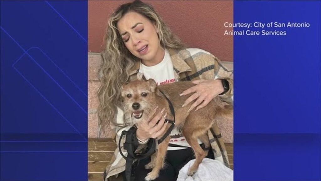 The Lost Dog Who Trekked 180 Miles Across the Nevada Desert to Find His Family The Lost Dog Who Trekked 180 Miles Across the Nevada Desert to Find His Family