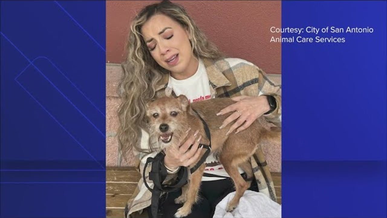 The Lost Dog Who Trekked 180 Miles Across the Nevada Desert to Find His Family