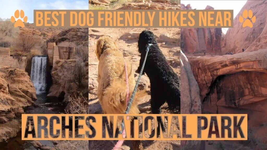 The Trail Town in Utah That Built an Entire Economy Around Dog-Friendly Tourism