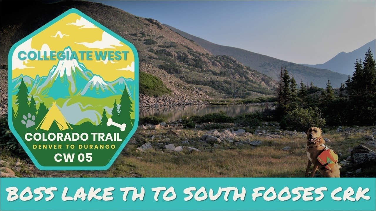 The Colorado Trail Is America's Most Dog-Friendly Long-Distance Trek. Here's What Nobody Tells You About It.