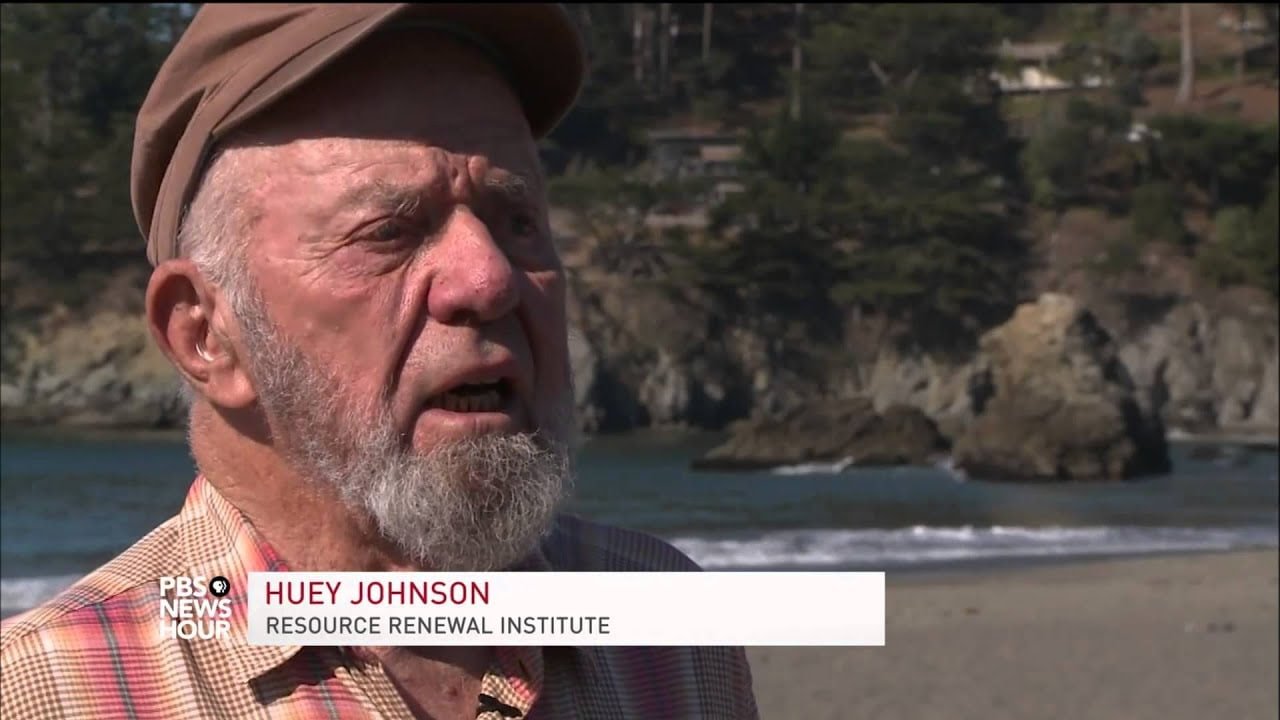 The Controversial Debate Tearing Apart America's Hiking Community: Should Dogs Be Banned from Trails?
