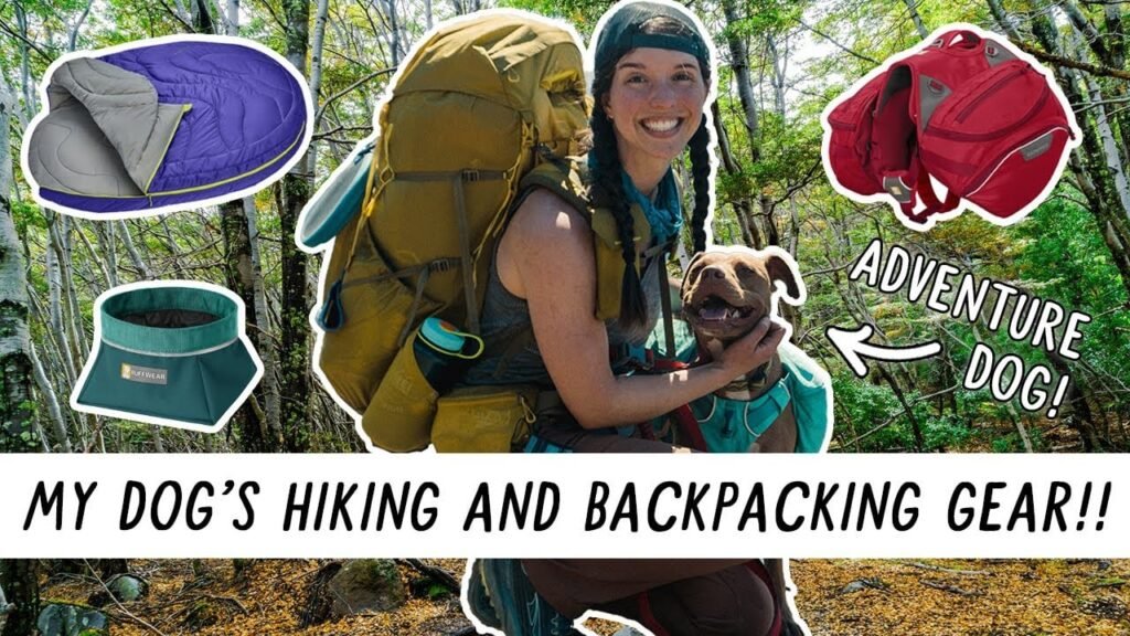 Why REI Just Launched Its Biggest Dog Gear Line in Company History — and What It Reveals About American Hiking