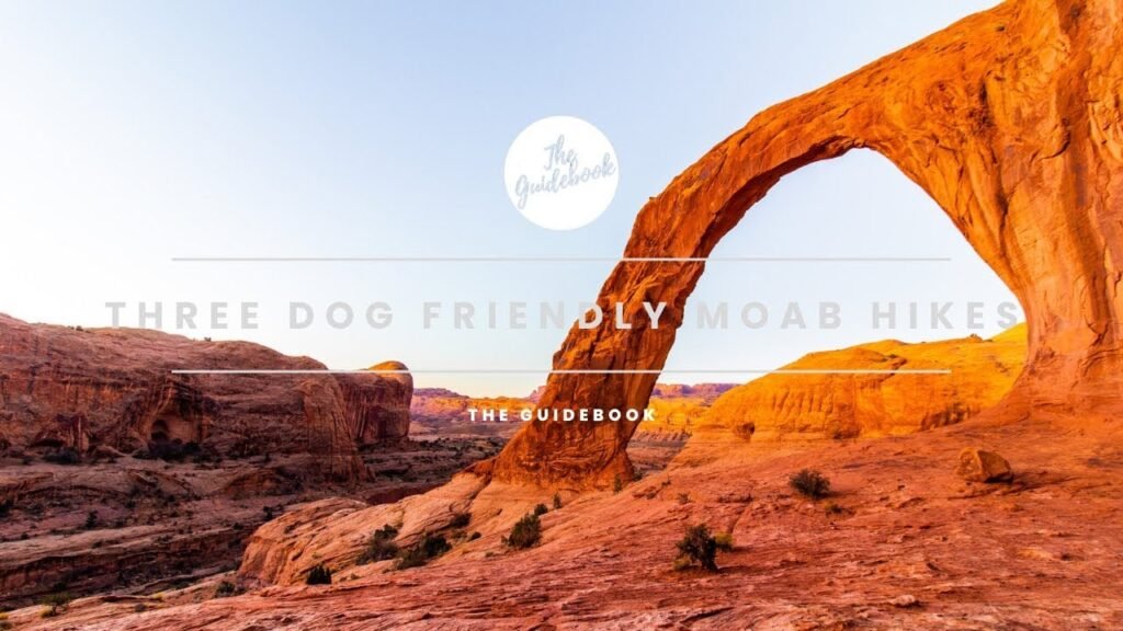 The National Parks Service Has a Dog Problem — and Hikers Are Furious About It