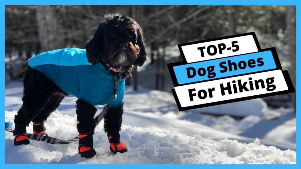 I Tested Every Major Dog Hiking Boot on the Market. Only Two Are Worth Your Money. I Tested Every Major Dog Hiking Boot on the Market. Only Two Are Worth Your Money.