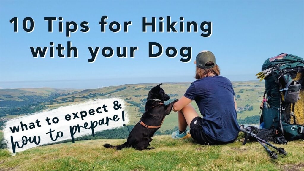 The Harvard Study That Changed Everything We Know About Dogs and Long-Distance Hiking