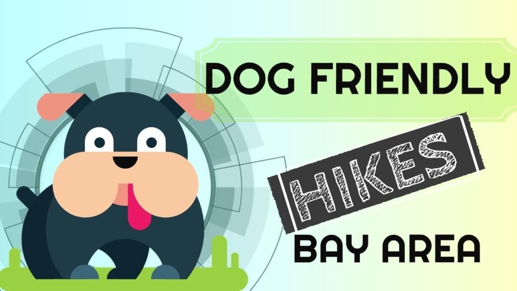 The Woman Who Has Mapped Every Dog-Friendly Trail in America — All 14,000 of Them The Woman Who Has Mapped Every Dog-Friendly Trail in America — All 14,000 of Them