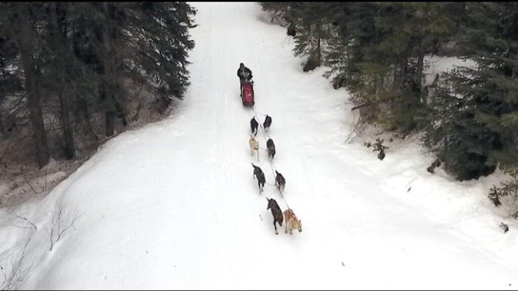 The Tiny Town in Montana Where Everyone Commutes to Work by Dog Sled, Even in 2026