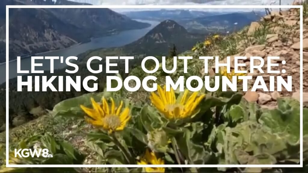The Oregon Man Who Quit His $400K Job to Build the First Dog-Only Hiking Trail in the U.S.