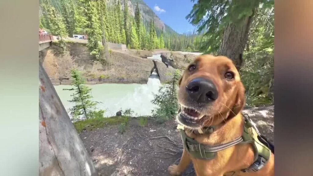 My Dog and I Hiked Across All 50 States in One Year. Here's the One Place We'd Never Return.