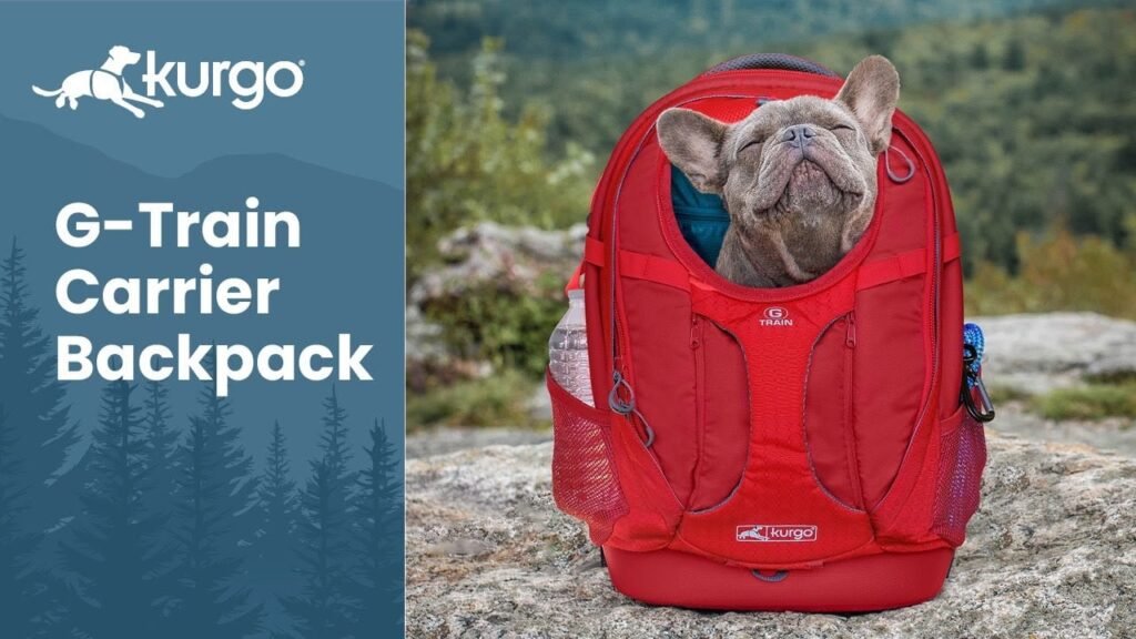 The $800 Dog Backpack That Sold Out in 6 Hours — and Why Every Trail-Obsessed Pet Owner Wants One