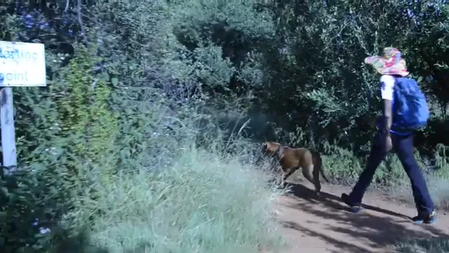 Dog Trekking in South Africa: 5 Regions, 15 Trails, and a Complete Guide