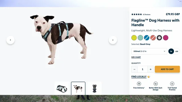 Ruffwear Dog Gear Review: 8 Products Tested and Rated for Trail Performance