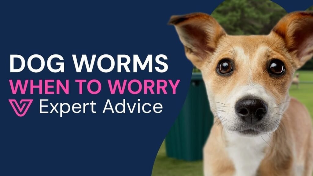 Dog Poop Guide: Eating It, Colour Changes, Worms, and Cleanup (2026)