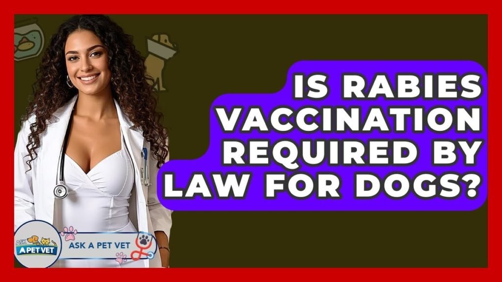 How Often Do Dogs Need Rabies Shots? How Often Do Dogs Need Rabies Shots?